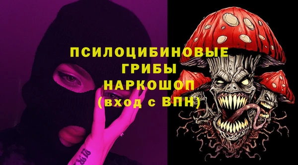 гашик Абаза